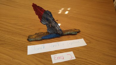 Ema1